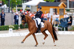 Aktiv, mit schöner Anlehnung und immer positiv: Denoix unter Katharina Hemmer im Grand Prix der EM Crozet 2025. Foto: Sportfotos-lafrentz.de