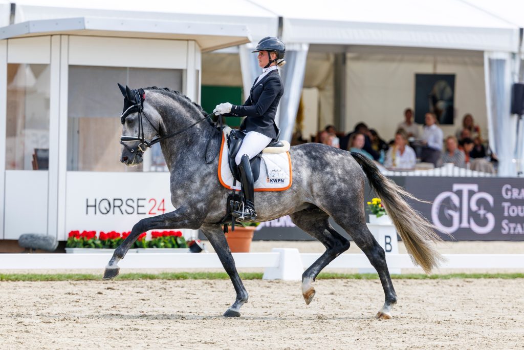Sieger der Qualifikation zur Weltmeisterschaft der fünfjährigen Dressurpferde 2025: Proud James unter Mette Sejbjerg Jensen. Foto: sportfotos-lafrentz.de