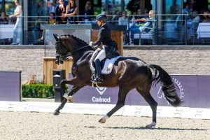 Die Lektion, in der es heute für Wendy eine 10 gab, war der starke Galopp. Foto: Sportfotos-lafrentz.de