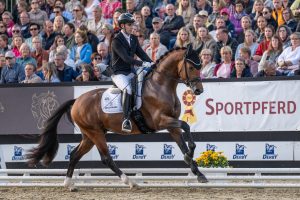 DC-10 v. Dynamic Dream beim Bundeschampionat 2025. Foto: Vortmann