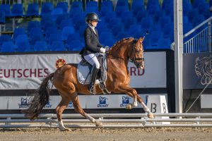 Linda Weiß und Nepomuk konnten bei den vierjährigen Reitponystuten und -wallachen gewinnen. (Foto: Vortmann)