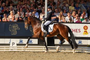 Esquire mit Eva Möller, Bundeschampion der vierjährigen Hengste 2025. Foto: Thamm