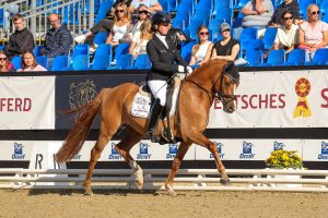 Tanja Fischer und Schlenburgs New Sunshine sicherten sich Rang vier im Finale. (Foto Thamm)