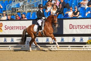 Mit Nepomuk stellte Linda Weiß ihren ersten Bundeschampion. (Fotos Thamm)