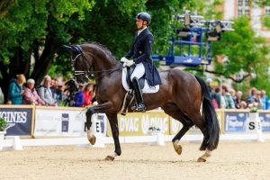 Don Macchiavelli unter Manuel Springhetti beim Wiesbadener Pfingstturnier 2025. Foto: Sportfotos-lafrentz.de