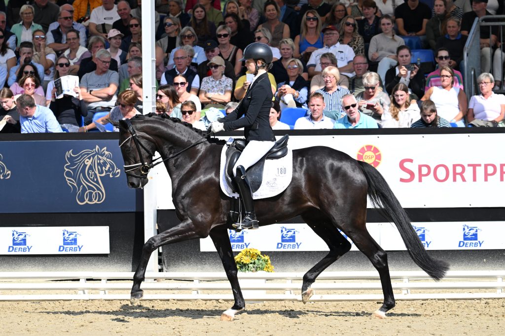 Bundeschampionesse 2025 Marke Weihegold: Weihe's Happiness v. Dynamic Dream. Foto: Mirka Nilkens