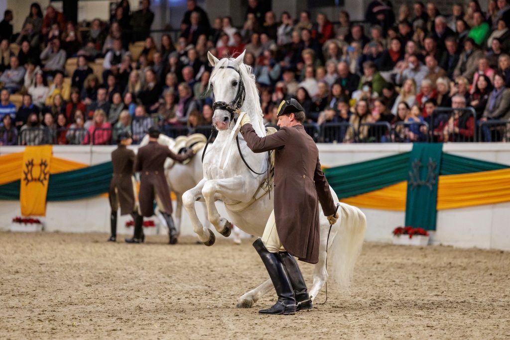 2022 war die Spanische Hofreitschule zu Gast in Neumünster. Foto: sportfotos-lafrentz.de