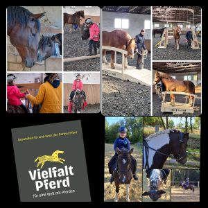 Der Hirschhof von Barbara Hirsch in Bad Münstereifel hat im vergangenen Jahr einen tollen Tag der offenen Tür auf die Beine gestellt, der mehr Menschen anzog, als sie eigentlich gedacht hätten.