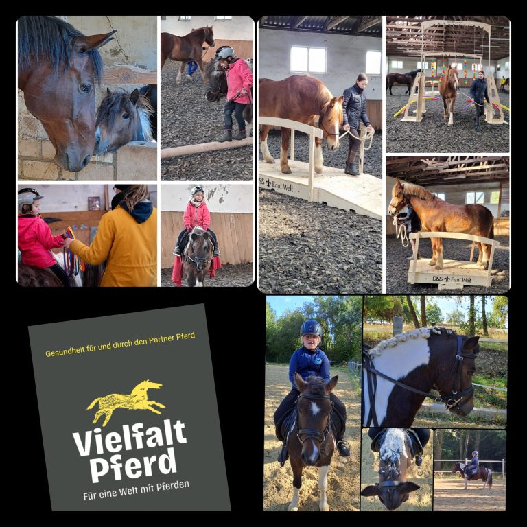 Der Hirschhof von Barbara Hirsch in Bad Münstereifel hat im vergangenen Jahr einen tollen Tag der offenen Tür auf die Beine gestellt, der mehr Menschen anzog, als sie eigentlich gedacht hätten.