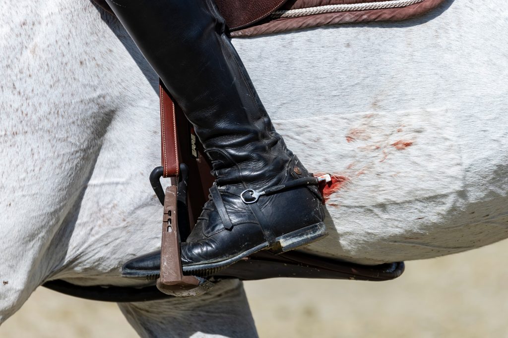 Symbolfoto Blut am Pferd. Foto: sportfotos-lafrentz.de