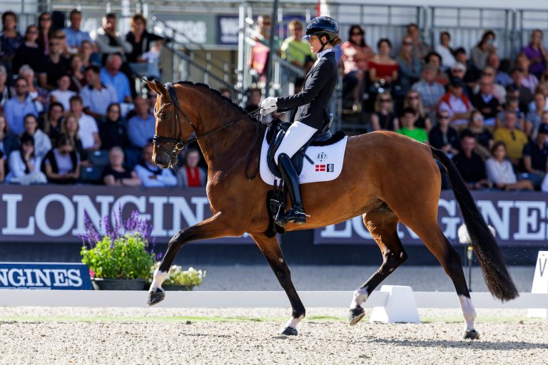 Valerie B mit Anne-Mette Strandby Hansen bei der WM der jungen Dressurpferde 2024. Foto: sportfotos-lafrentz.de