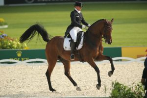 Isabell Werth und Don Johnson bei den Europameisterschaften 2015 in Aachen. Foto: sportfotos-lafrentz.de