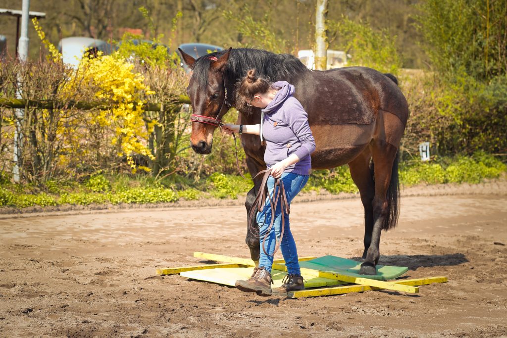 Instabile Untergründe, Stangenvariationen und Co lassen sich einfach ins Training einbinden, um die Koordination zu verbessern. 