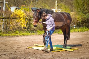 Instabile Untergründe, Stangenvariationen und Co lassen sich einfach ins Training einbinden, um die Koordination zu verbessern. 