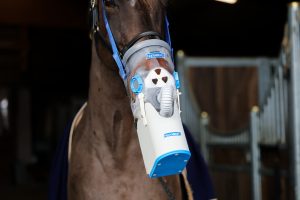 Inhalation kann nicht nur im Akutzustand helfen, sie ist auch prophylaktisch wohltuend fürs Pferd. Foto: PEMAG