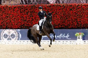 Superb unter Isabell Werth bei ihrem letzten Turnier im Januar in Basel. Foto: sportfotos-lafrentz.de