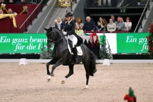 Total Hope punkte regelmäßig mit seinem überragenden Galopp. In den Serienwechseln erhielt er in Salzburg zweimal die 10. Foto: ONEKLICKPHOTO