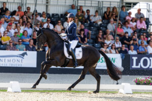 Glamdale WP mit Stefanie Ahlert bei den Weltmeisterschaften der jungen Dressurpferde 2024. Foto: sportfotos-lafrentz.de
