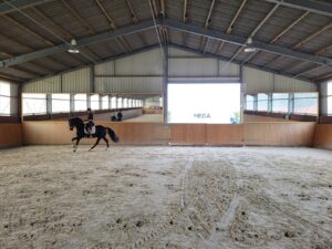 Immer mehr Ställe entscheiden sich für vollverspiegelte Reithallen.