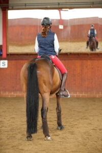 Nicht nur für Dressurreiter ein wichtiges Accessoire: Reithallenspiegel.