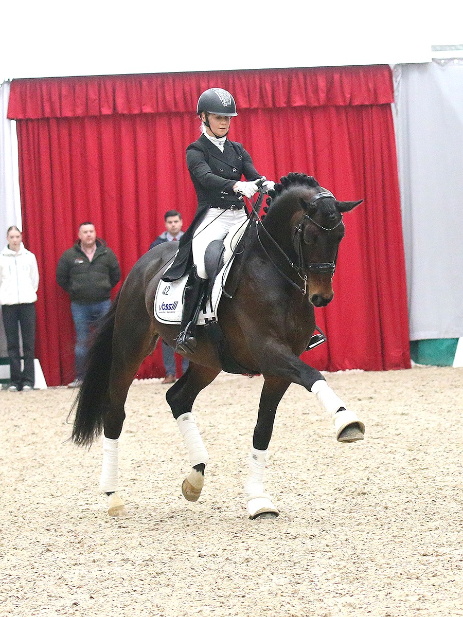 Olymp (Helium x Imperio x Hohenstein)