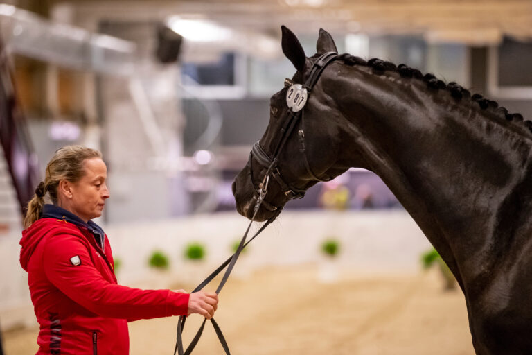 Ein gutes Beispiel für das Gesamtpaket, das stimmen muss: die Stute Weihegold. Foto: Archiv Lafrentz