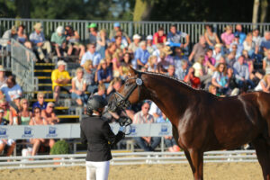 Das klassische Vormustern der Pferde entfällt künftig beim Bundeschampionat. Foto: Sportfotos-lafrentz.de