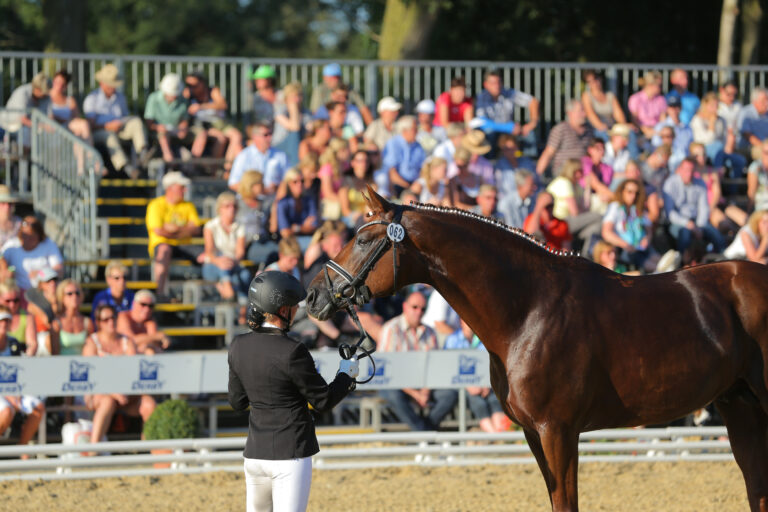 Das klassische Vormustern der Pferde entfällt künftig beim Bundeschampionat. Foto: Sportfotos-lafrentz.de