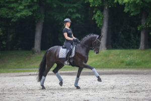 Muskeln wachsen nicht vom Futter allein – das Training muss entsprechend angepasst sein. Foto Rebecca Thamm