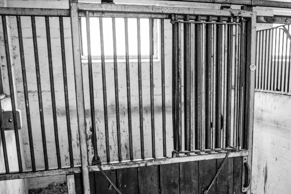 Symboldbild leere Box. Foto: sportfotos-lafrentz.de