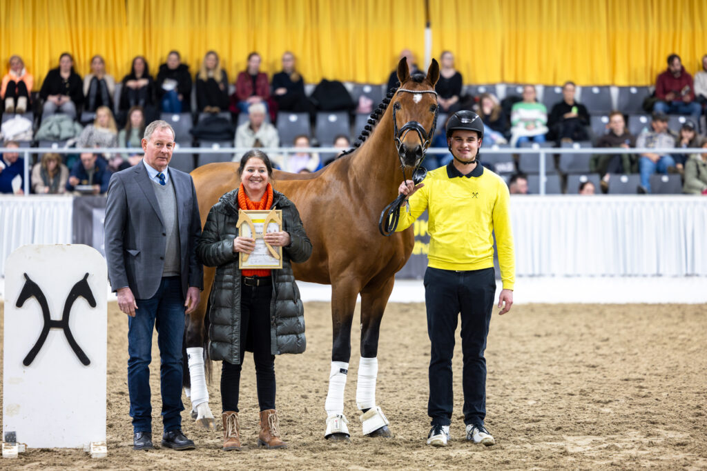 Im Rheinland geboren, inzwischen in Dänemark zuhause: DC-10. Foto: Hannoveraner Verband.