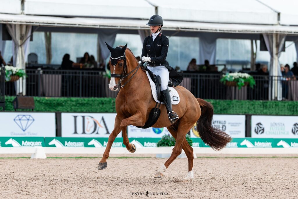Emma Lienert und Windermere J'Obei hocherfolgreich in Wellington. (Foto Centerline Media)
