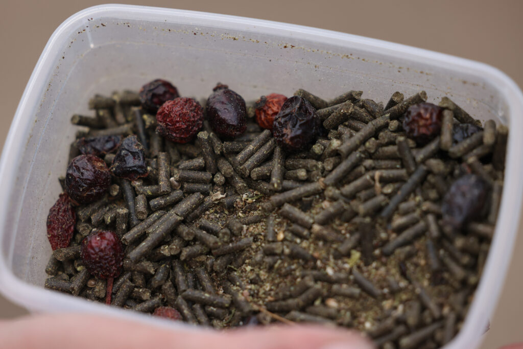 Nicht immer ist jedes Zusatzfuttermittel tatsächlich sinnvoll.