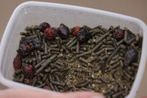 Nicht immer ist jedes Zusatzfuttermittel tatsächlich sinnvoll.