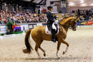 Justin Verboomen und Djembe de Hus. Foto: Sportfotos-lafrentz.de