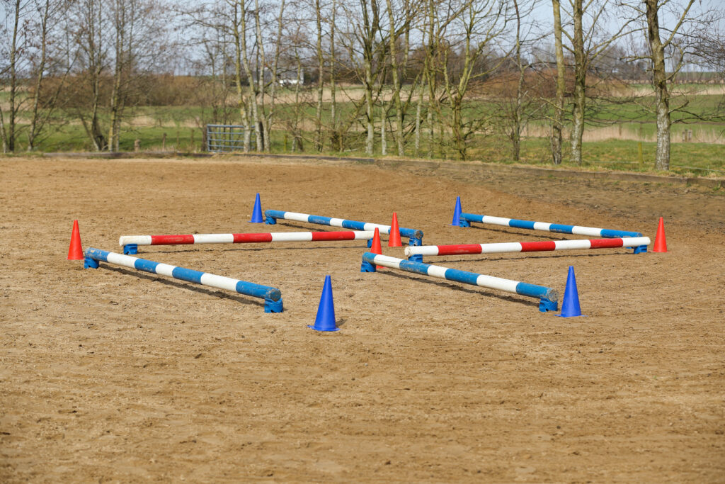Die Stangen und Cavaletti können auf ganz unterschiedliche Weise aufgebaut werden, um eine gewisse Abwechslung zu erzielen. 
Foto: Equipics/Zachrau
