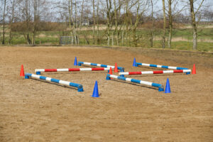 Die Stangen und Cavaletti können auf ganz unterschiedliche Weise aufgebaut werden, um eine gewisse Abwechslung zu erzielen. Foto: Equipics/Zachrau