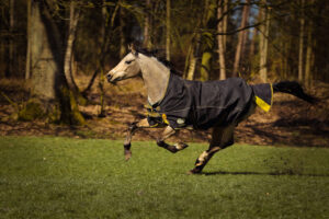 Eine Regendecke sollte perfekt sitzen, sodass sich kein Wasser – beispielsweise an der Schulter – sammeln kann. Fotos: Equipics/Zachrau