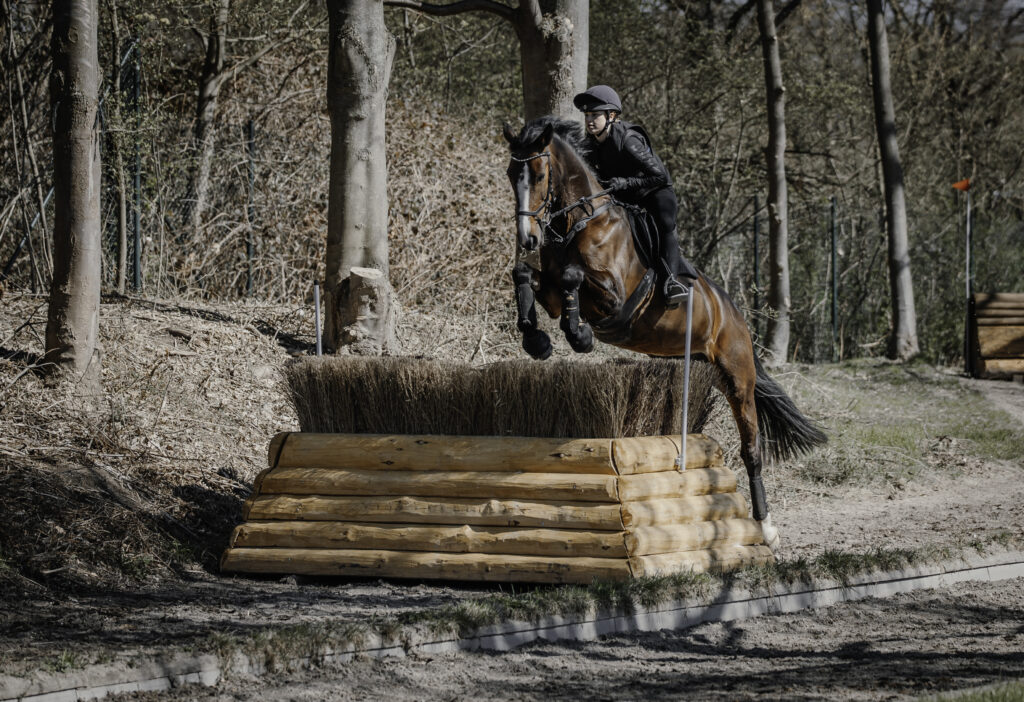 Erfahrene Pferde springen durch den oberen Teil der die Bürste hindurch. Foto Juliane Körner