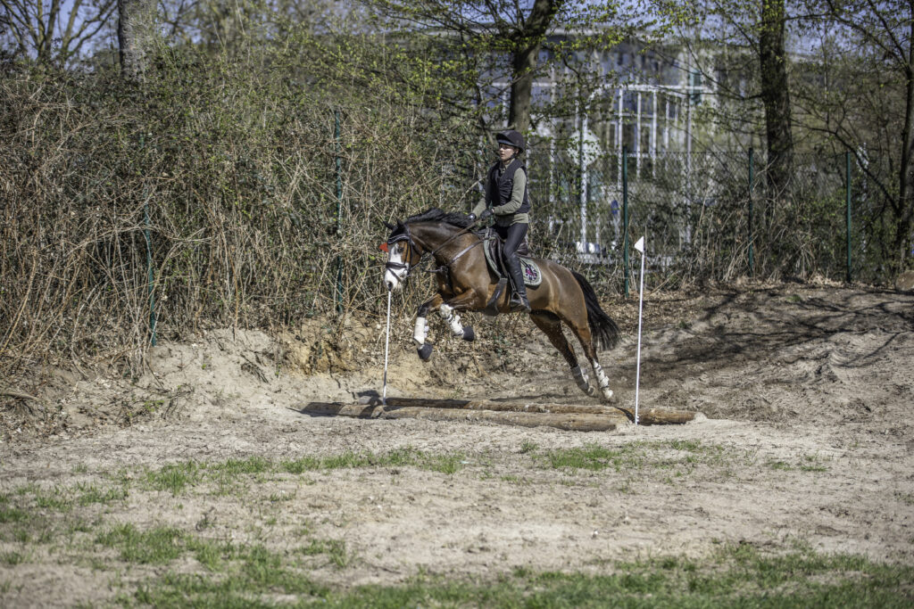 Graben: Auch wenn der Graben in den untersten Klassen noch so klein ist, muss er korrekt eingefasst sein, damit das Pferd bei einer Verweigerung nicht hineinrutscht. Foto: Juliane Körner