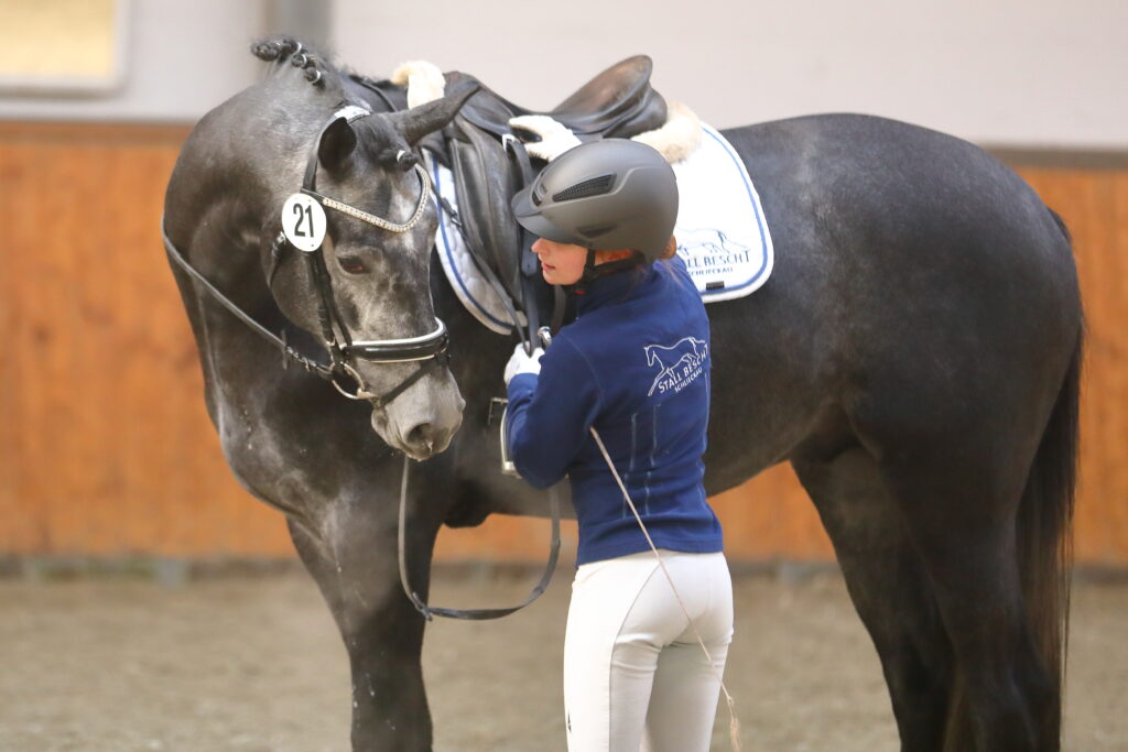 Der Fremdreitertest gehört bei jeder Art von Hengstleistungsprüfung dazu. Foto: Bischoff