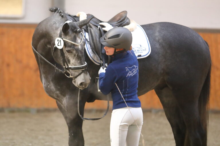 Der Fremdreitertest gehört bei jeder Art von Hengstleistungsprüfung dazu. Foto: Bischoff