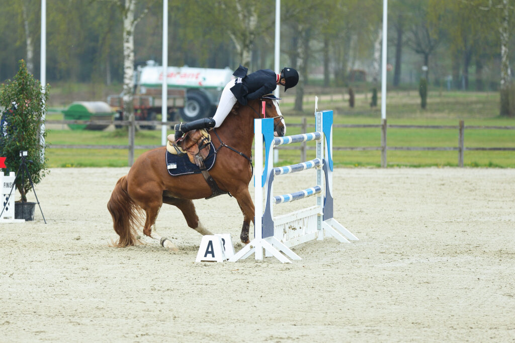 Ein Sturz im Parcours führt sowohl vor Beginn als auch während der Prüfung zum Ausschluss, nicht aber nach Überreiten der Ziellinie. Foto: Equipics/Zachrau

