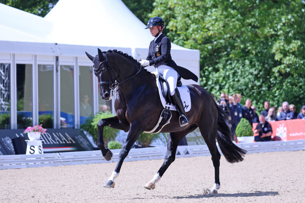 Wendy de Fontaine setzte sich in Hamburg im stallinternen Duell gegen Viva Gold durch. Foto Chrissis Pferdebilder
