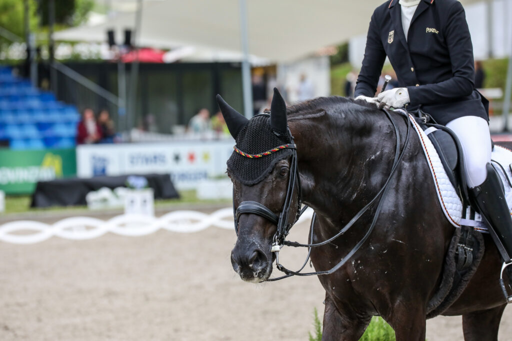 Higlander' Delight und Regine Mispelkamp sicherten sich die Goldmedaille bei den Deutschen Meisterschaften: (Fotos Hubernagel)