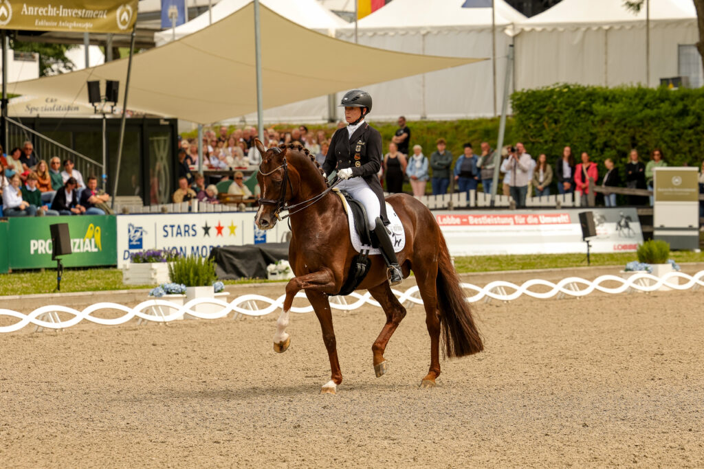 Viva Gold ist auf dem Weg in familiäre Fußstapfen zu treten. (Foto Thamm)