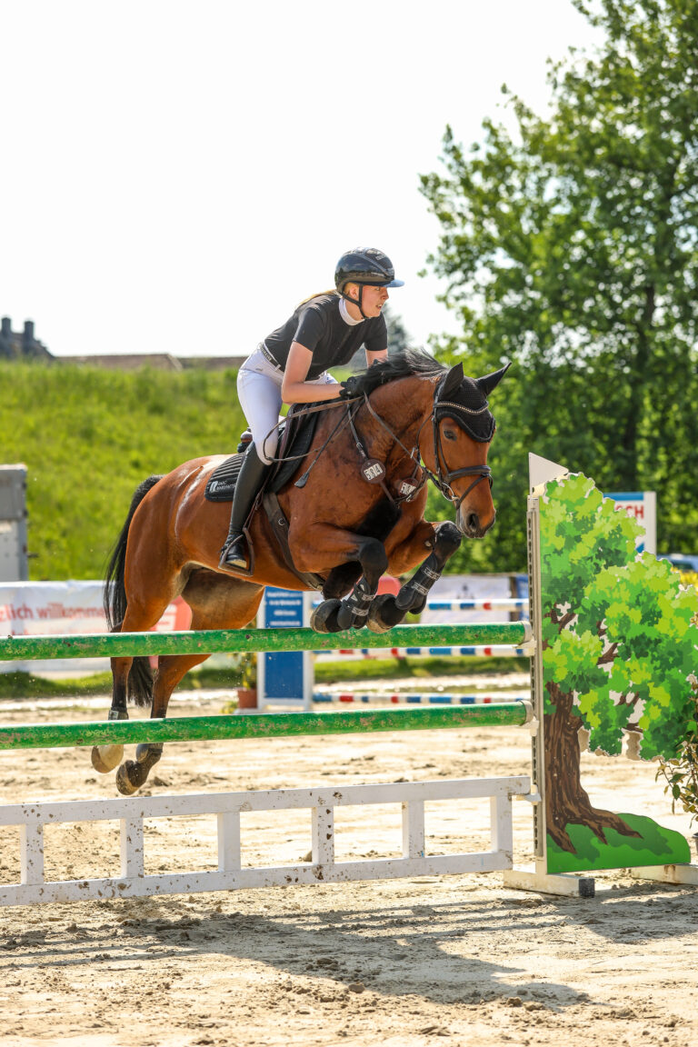 Auf dem Weg von der Basis in die höheren Klassen des Springsports gibt es Einiges zu beachten. Foto: Rebecca Thamm