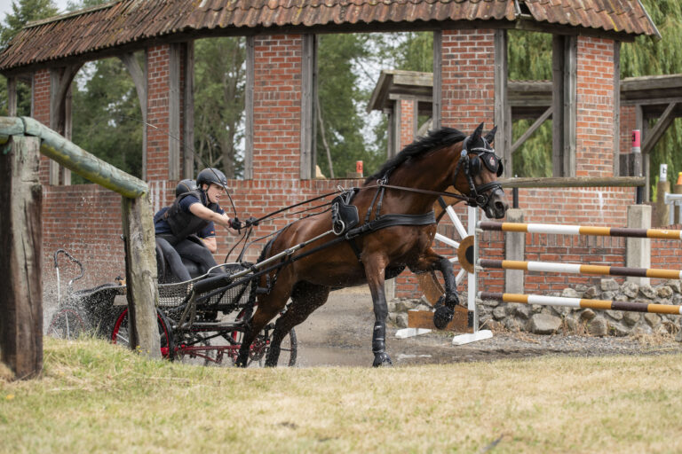 Laura Hüsges und Adina im Gelände in Greven auf Siegkurs! Foto: Privat