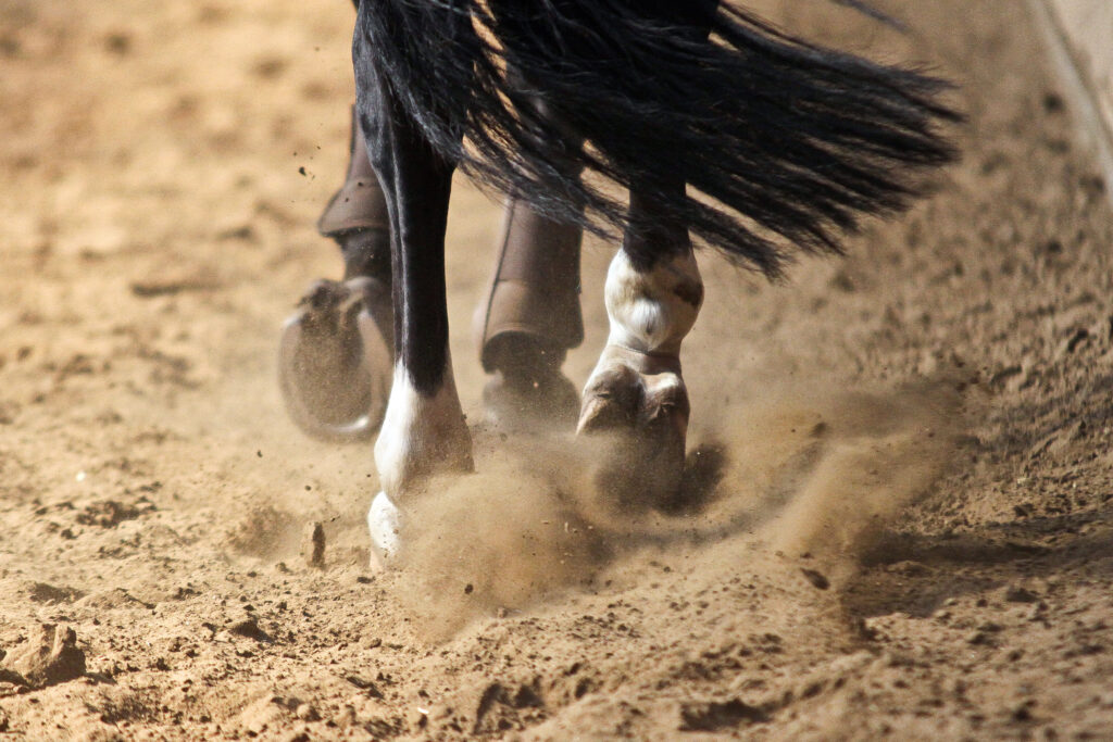 Damit es auch in der Halle nicht staubt, empfiehlt sich eine Beregnungsanlage. Foto: Equipics
