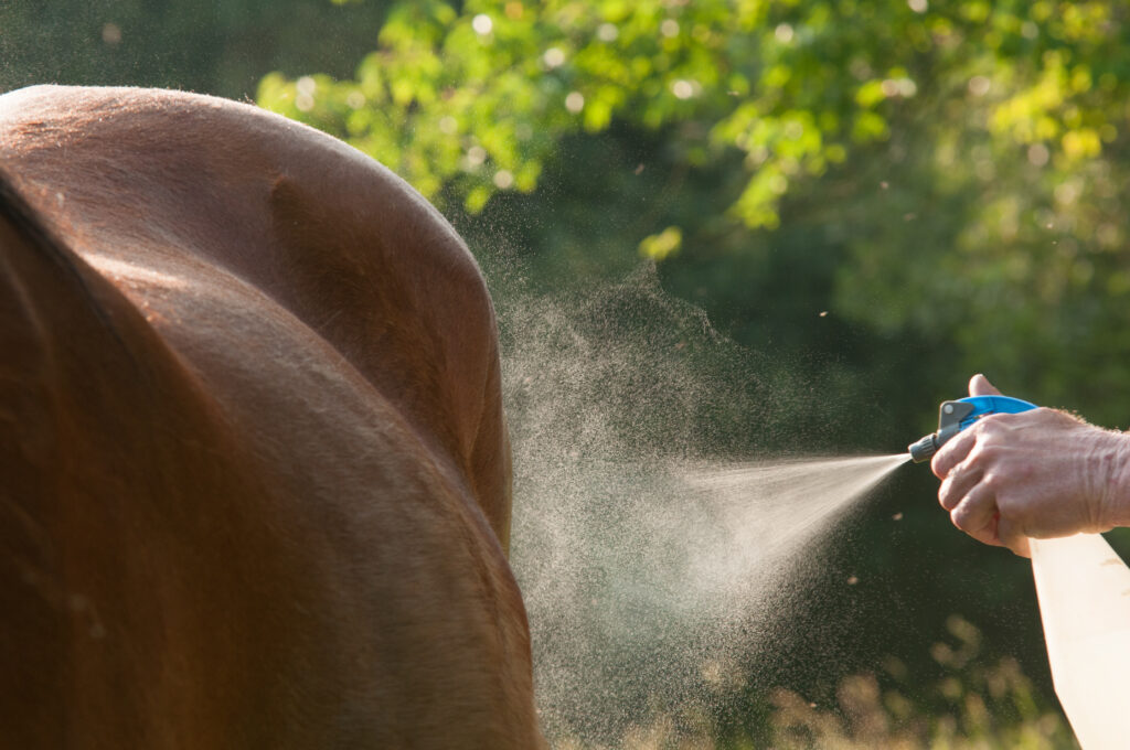 Für empfindliche Pferde empfehlen sich Insektenschutzmittel mit natürlichen Inhaltsstoffen. Foto: Equipics/Zachrau